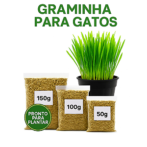 Mix de Sementes Graminha para Cães e Gatos