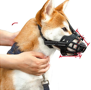 Focinheira para Cães Silicone