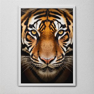 Quadro Decorativo Tigre – Força, Estilo e Elegância Selvagem para Sua Decoração!