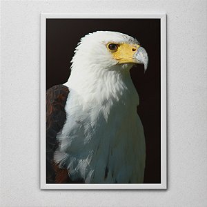 Quadro Decorativo Aguia