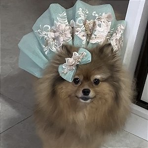 Vestido de Tule com Bordado Verde Água para Pets