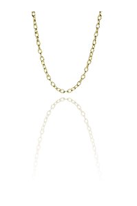 Choker Corrente Com Elos Ovalados Banhado em Ouro 18k