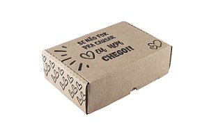 Caixa Parda 26x24x7 Se não for pra Causar