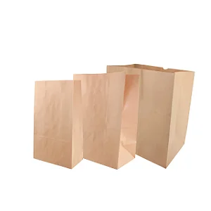 Saco Kraft - Embalagem Ecológica e Versátil