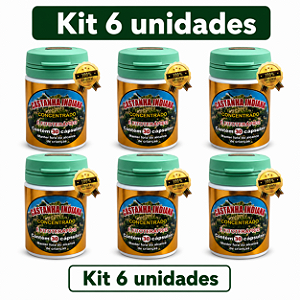 Kit 6 Castanha Indiana Concentrado 30 Cápsulas Frete Grátis