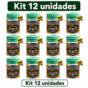 Kit 12 Castanha Indiana Concentrado 30 Cápsulas Frete Grátis