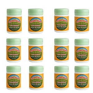 Kit 12 Castanha Indiana Concentrado 30 Cápsulas Frete Grátis