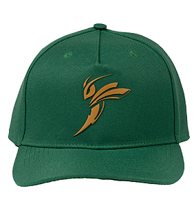 BONÉ AMA SPORT BEE TRUE - VERDE
