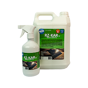 RZ-KAR 10