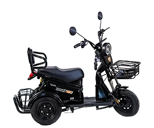 Triciclo Elétrico Smart Family 500w