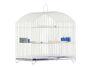 Gaiola Belga Prata P041