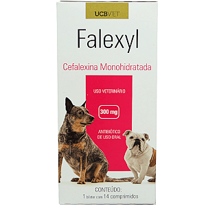 Falexyl 300 Mg - Bl 14 Cp