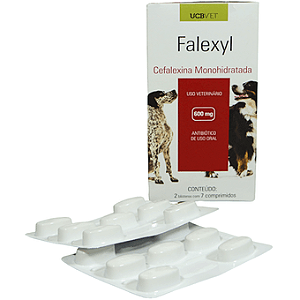 Falexyl 600 Mg - Bl 7 Cp