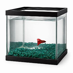 Aquario Beta Quadrado Com Pedras 8 L