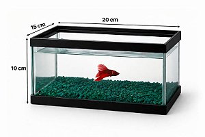 Aquario Beta Retangular Com Pedras 3 L