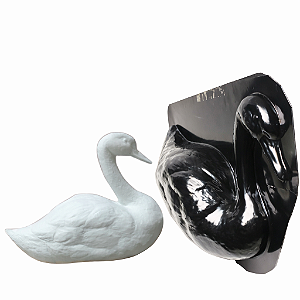 Forma Cofre CISNE 1266