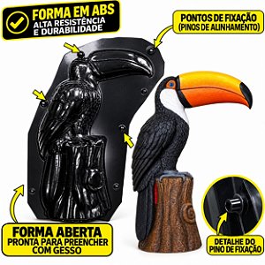 FORMA DO TUCANO NO TRONCO