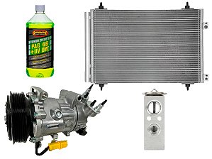 Kit Troca Compressor Ar Peugeot 307 308 408 3008