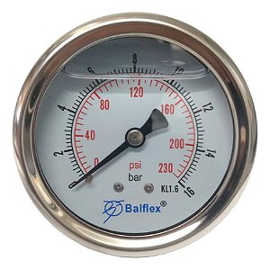 Manômetro Horizontal Pressão 16 Bar Com Glicerina 1/4 Npt