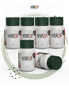 Kit VI - 6 Rapés Indígenas -Mais por Menos