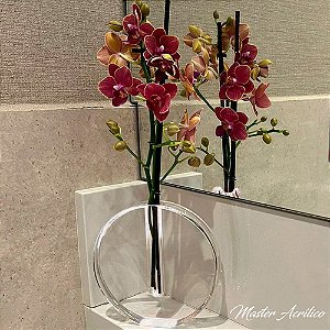 Vaso solitário de acrilico redondo 15x15x3cm