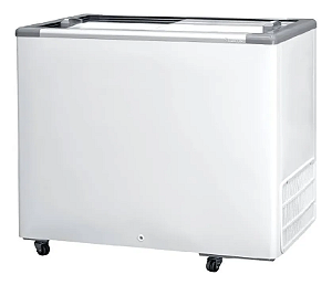 FREEZER HOR 311 PADRAO 2V000 (220 V / 60 Hz v) P.VIDRO
