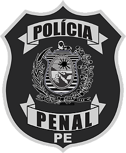 Camiseta Sniper BRASIL Polícia Penal Pernambuco