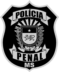 Camiseta Sniper BRASIL Polícia Penal Mato Grosso do Sul