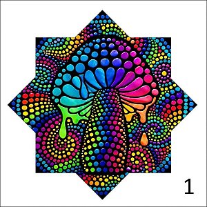 Dapo Star Malabares - Cromático