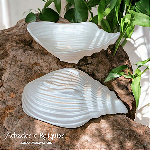 Maravilhosas Conchas em vidro na cor branco pérola.