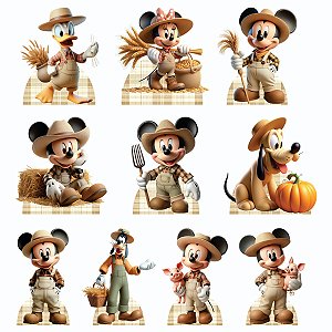 Mickey Fazendeiro Displays