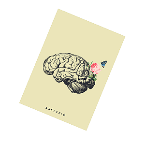 Bloco de Notas Brain Vera
