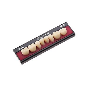 DENTE ECODENT - POST. 32L SUP 60 - EVODEN