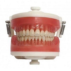 PD 100 MANEQUIM PRONEW TOP - DENTISTICA