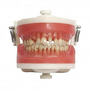 PD 101 MANEQUIM DE MATERIAIS DENTARIOS PRONEW