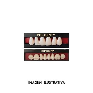 DENTE POP 32L SUP 62 - VIPI
