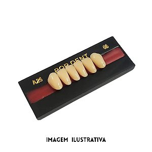 DENTE POP 32L INF 62 - VIPI