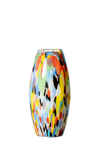 OLIVA MULTICOLORE