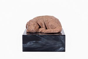 CANE DORMENTE COM BASE