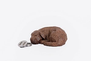 CANE DORMENTE SEM BASE