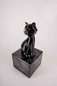 GATTO FELICE COM BASE