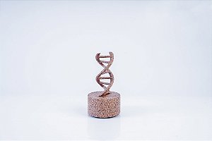 DNA