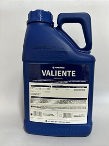 Valiente 5 Lt - Forquímica