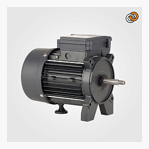 Motor elétrico Lepono 356 0,33cv 2 pólos bifásico