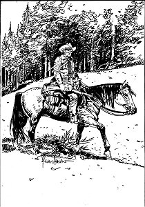 Arte Original Chacal