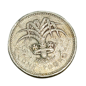 Moeda de 1 Libra (Pound) 1990 - Reino Unido
