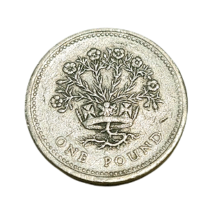 Moeda de 1 Pound (Libra) 1991 - Reino Unido