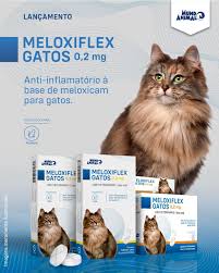 Meloxiflex 2,0 Mg 10 X 5 Cp Hospitalar