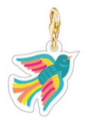 Charm passarinho