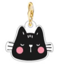 Charm gatinho preto